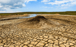 Türkiye son 65 yılın en kurak dönemini yaşıyor: Tarım ve su kaynakları tehlikede – Birlik Haber Ajansı