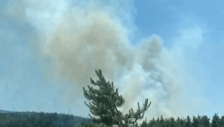 Hakkari Şemdinli’de orman yangını – Birlik Haber Ajansı