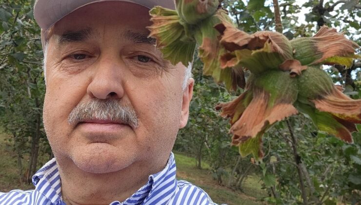 Giresun Milletvekili Ali Temür: Fındık emanet vermeyin – Birlik Haber Ajansı