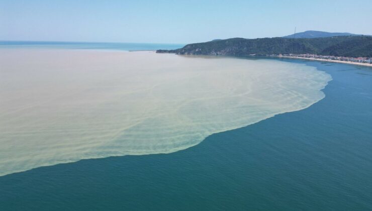 Sakarya sahillerine kırmızı bayrak çekilecek – Birlik Haber Ajansı