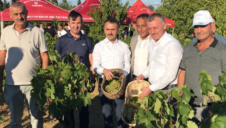 Başkan Büyükakın, İzmit’te üzüm hasadına katıldı – Birlik Haber Ajansı