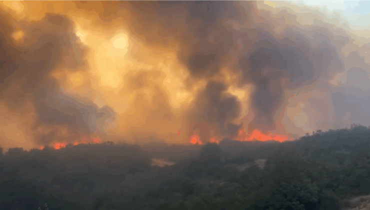 Aydın’da zeytinlik ve ormanlık alandaki yangın ikinci gününde devam ediyor – Birlik Haber Ajansı