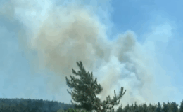 Çanakkale Kepez’de orman yangını