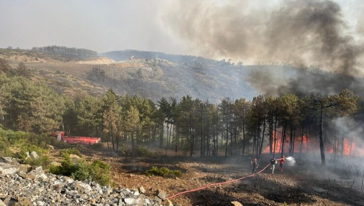Makilik ve Otluk alanda çıkan yangın büyümeden söndürüldü – Birlik Haber Ajansı