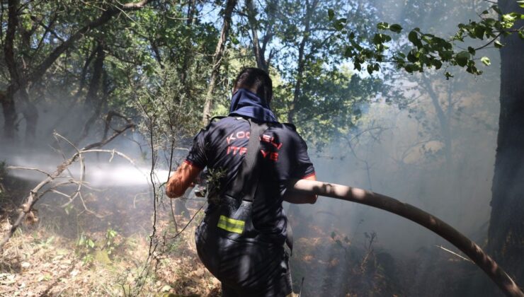 Kocaeli Büyükşehir, Karamürsel yangını için seferberlik ilan etti – Birlik Haber Ajansı