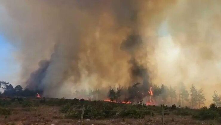 Kastamonu’da orman yangınlarıyla mücadele sürüyor – Birlik Haber Ajansı