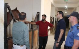 Selim Kaymakamı Semiz’den at çiftliğine ziyaret – Birlik Haber Ajansı