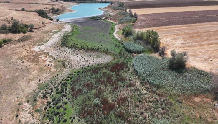 Edirne’de Yağcılı Göleti tamamen kurudu – Birlik Haber Ajansı