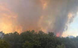 Çankırı’da bir evde başlayan yangın 5 eve daha sıçradı – Birlik Haber Ajansı