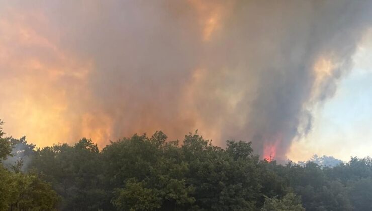 Denizli’deki orman yangınına müdahale 4. gününde sürüyor – Birlik Haber Ajansı