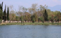 Fuar alanının ‘kalbi’ yeniden canlandı – Birlik Haber Ajansı