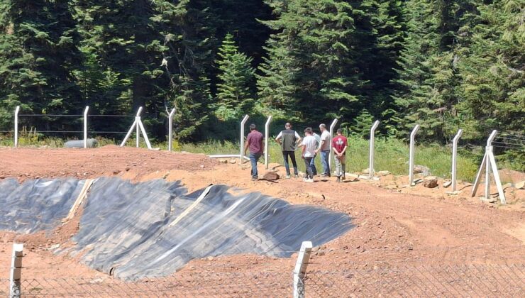 Zonguldak Orman Bölge Müdürlüğü, Kumluca’daki çalışmaları yerinde inceledi – Birlik Haber Ajansı