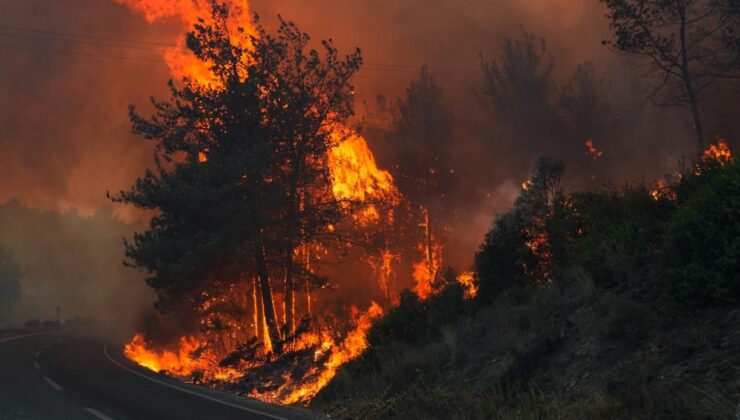 Çanakkale’de yangın büyüyor: Ev ve araçlar zarar gördü – Birlik Haber Ajansı
