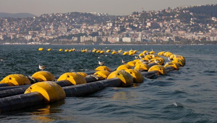 Çamur gidiyor, yeni canlılar geliyor – Birlik Haber Ajansı