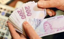 Bankalarda unutulan 732,1 milyon lira TMSF’ye devredildi – Birlik Haber Ajansı