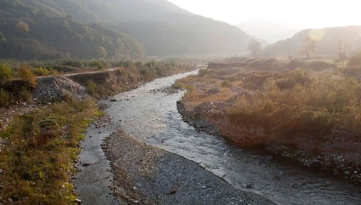 TZOB: Su kirliliği 75 ilde yaşamı tedhit ediyor – Birlik Haber Ajansı