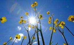 Hafta sonu sıcaklıklarda artış: İzmir 40 dereceyi görecek – Birlik Haber Ajansı