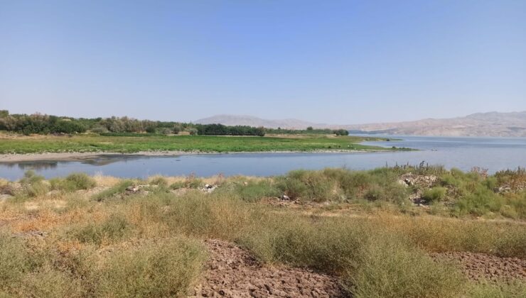 Malatya’da tarımsal sulamada kuraklık endişesi – Birlik Haber Ajansı