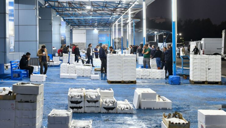 Balık avı sezonu açıldı – Birlik Haber Ajansı