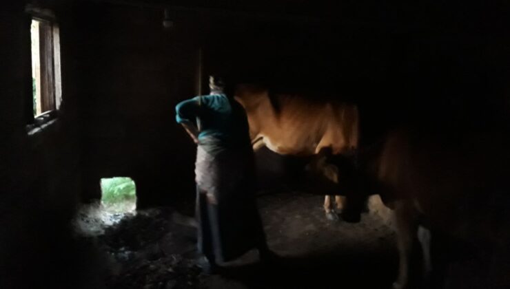 Karadeniz kadınının bitmeyen çilesi – Birlik Haber Ajansı