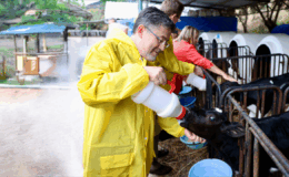 Türkiye’de Büyük ve Küçük Baş Hayvan Sayısı Açıklandı – Birlik Haber Ajansı