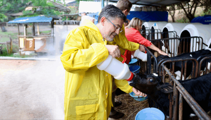 Türkiye’de Büyük ve Küçük Baş Hayvan Sayısı Açıklandı – Birlik Haber Ajansı