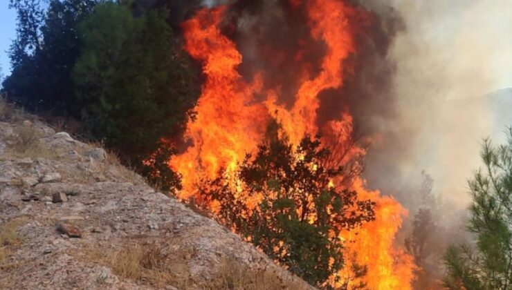 Balıkesir Sındırgı’da orman tangını: Ekipler seferber oldu – Birlik Haber Ajansı