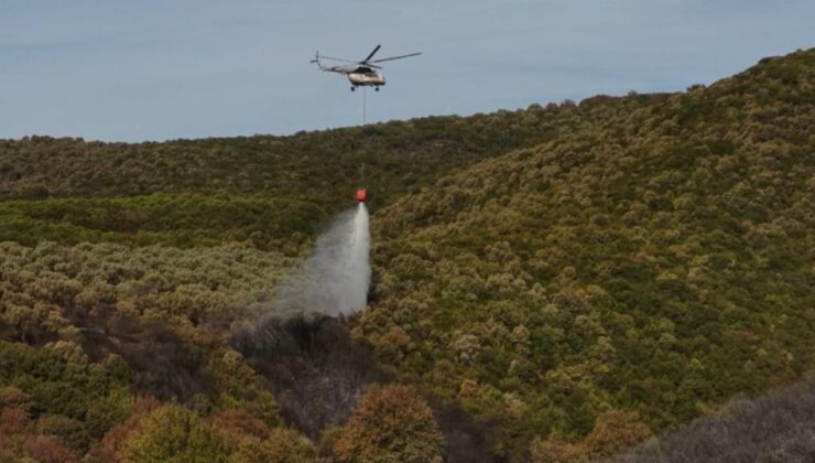 Bursa’da orman yangını kontrol altına alındı – Birlik Haber Ajansı