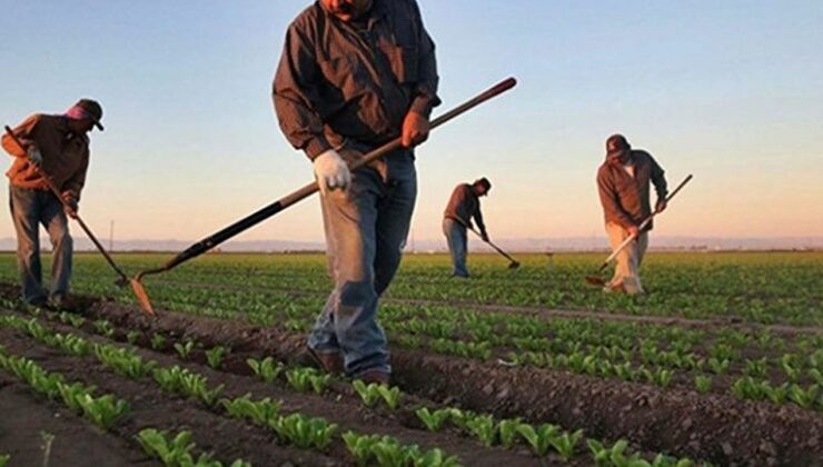 Çiftçilere 476 milyon liralık destekleme ödemesi bugün yapılacak – Birlik Haber Ajansı