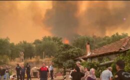 Denizli orman yangını kontrol altına alınmaya çalışılıyor – Birlik Haber Ajansı