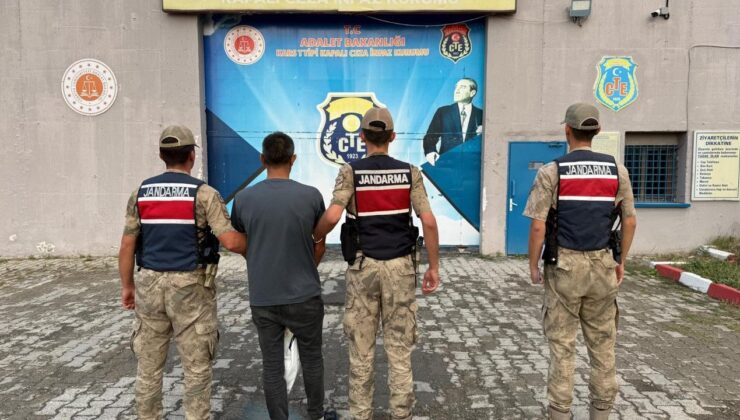 Kars’ta şüphe üzerine durdurulan araçtan çalıntı büyükbaş hayvanlar çıktı – Birlik Haber Ajansı