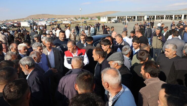 Kars Hayvan Pazarı açıldı – Birlik Haber Ajansı