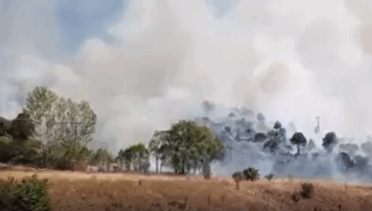 Sivas’ın Zara ilçesinde ağaçlık alanda yangın çıktı