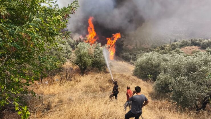 Bursa’da orman yangını kontrol altına alındı – Birlik Haber Ajansı
