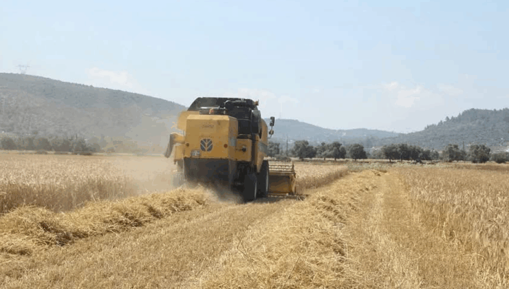 Tarım ve Orman Bakanlığı yeni destekleme modelini açıkladı – Birlik Haber Ajansı