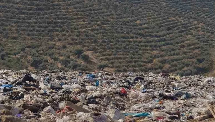 İzmir’de biriken çöpler yangın riskini artırıyor – Birlik Haber Ajansı