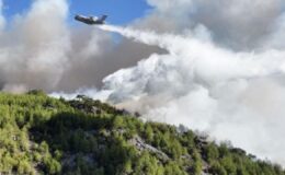 Köyceğiz’deki orman yangını ikinci gününde: 582 kişi tahliye edildi – Birlik Haber Ajansı