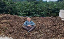 Fındık fiyatı düşürülmeye mi çalışılıyor? – Birlik Haber Ajansı