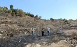 Alanya’daki yangınlar söndürüldü, hasar tespit çalışmaları başladı – Birlik Haber Ajansı