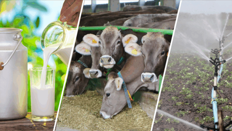 Tarımsal Destekleme Ödemeleri Hesaplara Yatmaya Başladı – Birlik Haber Ajansı