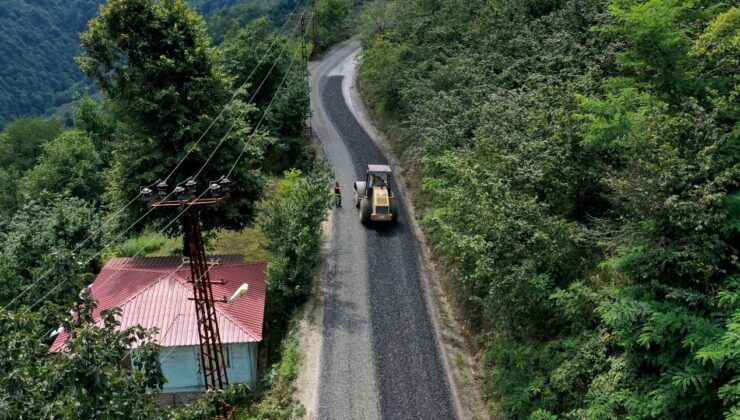 Ordu Ünye Pelitliyatak’ta mutlu son – Birlik Haber Ajansı
