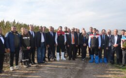 Türkiye’nin ilk yerli ve milli “Vezir Kenevirinin” hasadı Amasya’da gerçekleştirildi – Birlik Haber Ajansı