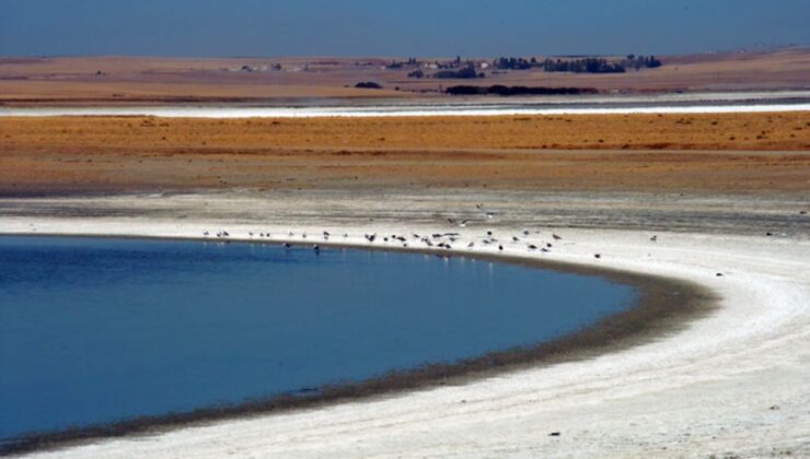 Tuz Gölü’nde kuraklık biyolojik çeşitliliği tehdit ediyor – Birlik Haber Ajansı