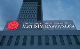 “İstanbul Boğazı’nda balık soykırımı” iddialarına DMM’den yalanlama
