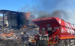 Kulübede yangın! 25 güvercin yanarak can verdi – Birlik Haber Ajansı