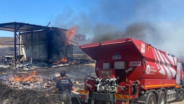 Kulübede yangın! 25 güvercin yanarak can verdi – Birlik Haber Ajansı