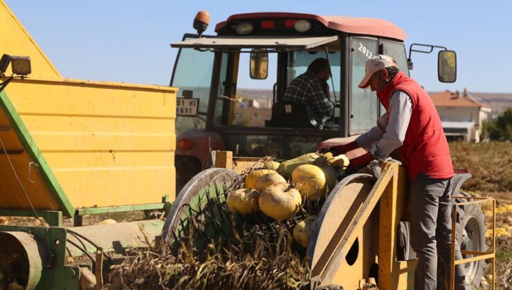 Isparta’da kabak sezonu başladı – Birlik Haber Ajansı