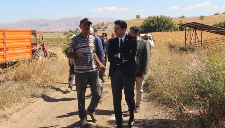 Tefenni ovası’nda mısır hasadı incelemesi – Birlik Haber Ajansı