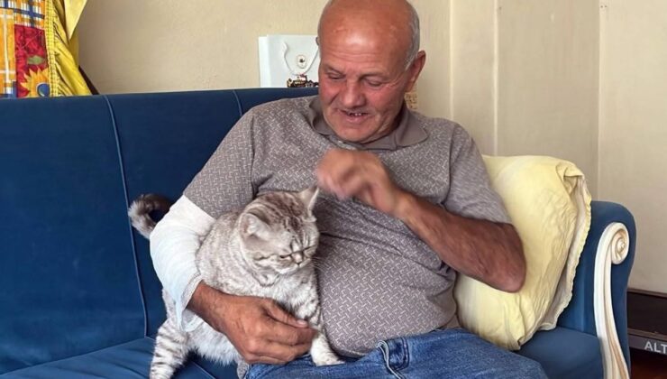 Kolunu ısıran köpeğe mama bırakıp hastaneye giden taksici: “Sevgimden vazgeçmem” – Birlik Haber Ajansı