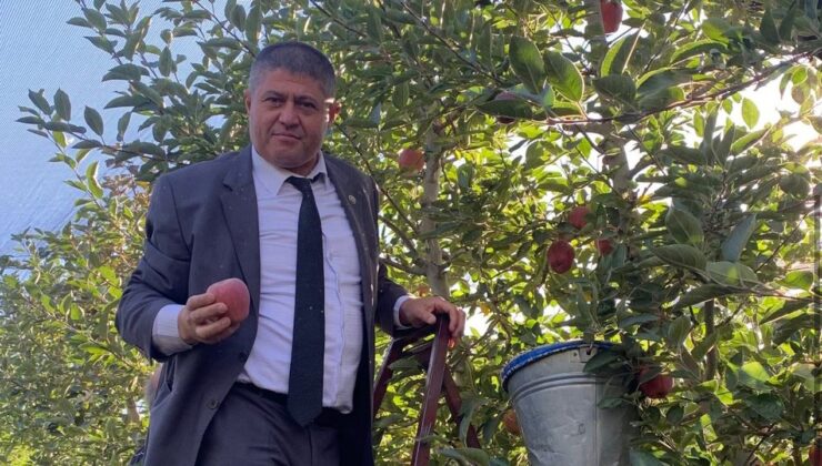 Başkan Selçuk Elma hasadına katıldı: Çiftçilerle bir araya geldi – Birlik Haber Ajansı